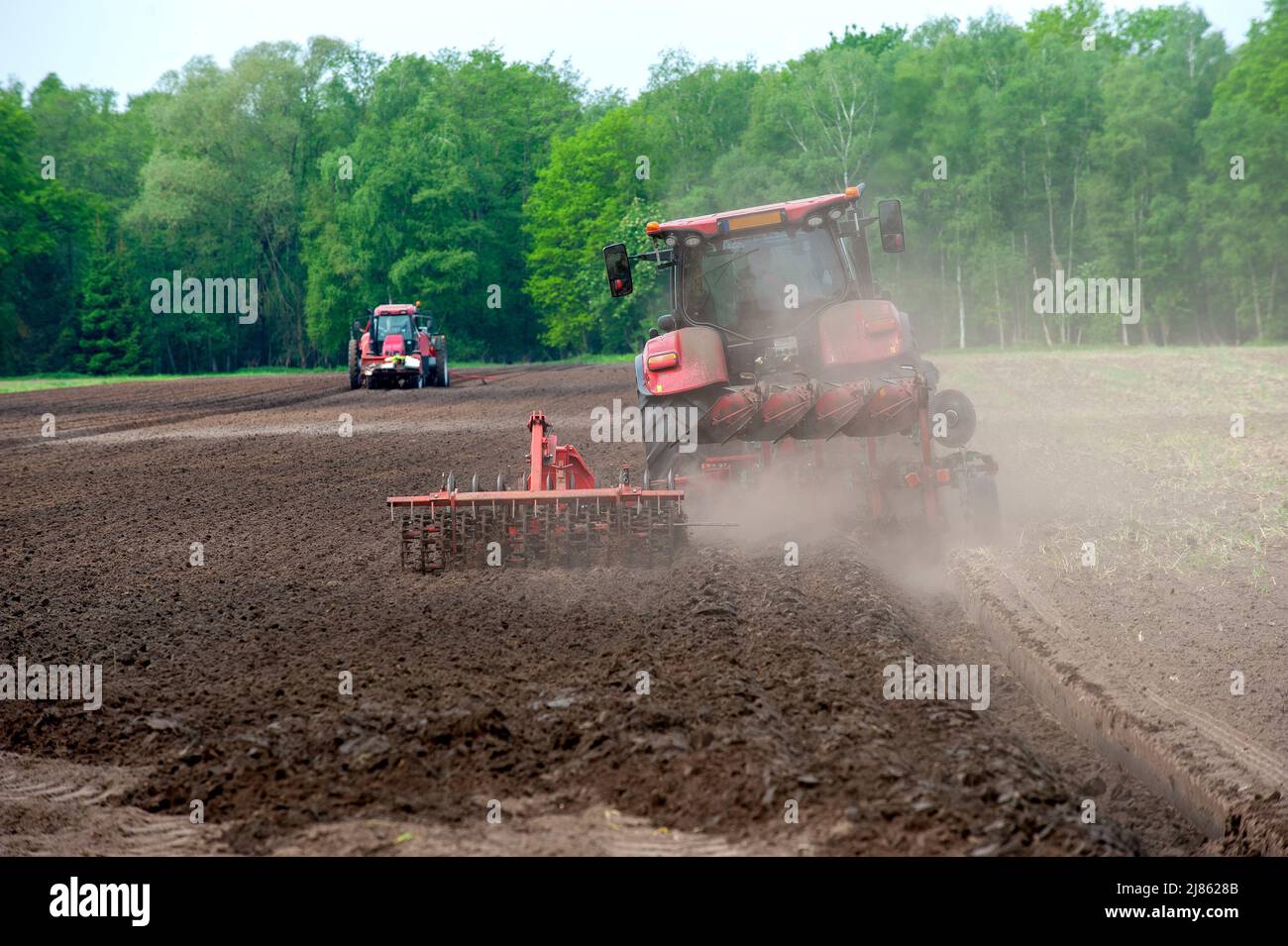 Ein Bauer pflügt sein trockenes Ackerland, während eine andere Maschine links damit beschäftigt ist, Kartoffeln zu säen. Stockfoto