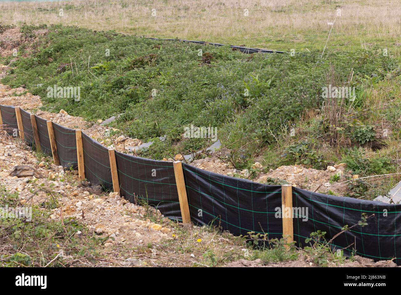 Herpetologie Barriere Easton Norfolk GB Großbritannien Mai 2022 Stockfoto