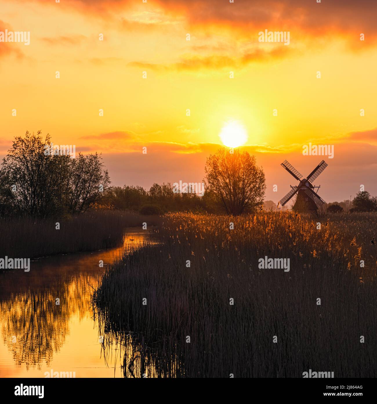 Sonnenaufgang am Noordermolen (Nördliche Mühle), in Noorddijk in der Provinz Groningen, Niederlande Stockfoto