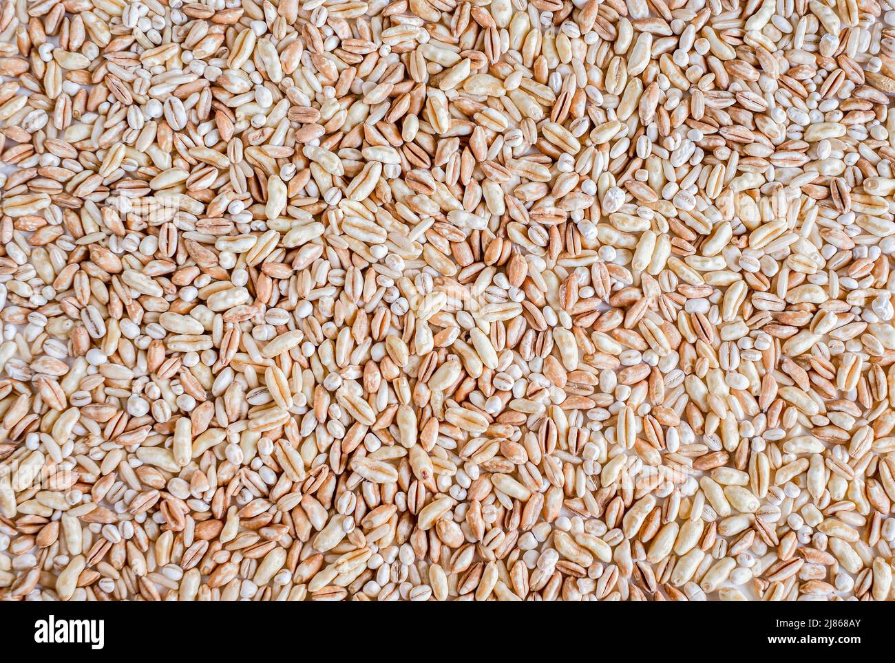 Hintergrund der Harter roter Winterweizen Korn Stockfoto