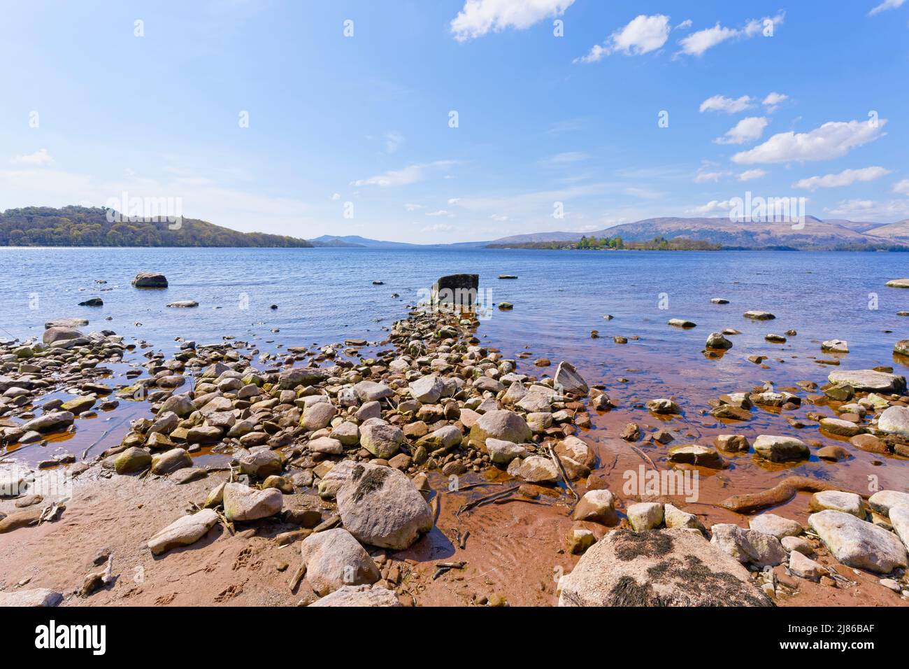 Felsen, die als Ad-hoc-Pier von einem Sandstrand in das klare Wasser von Loch Lomond gelegt werden. Stockfoto