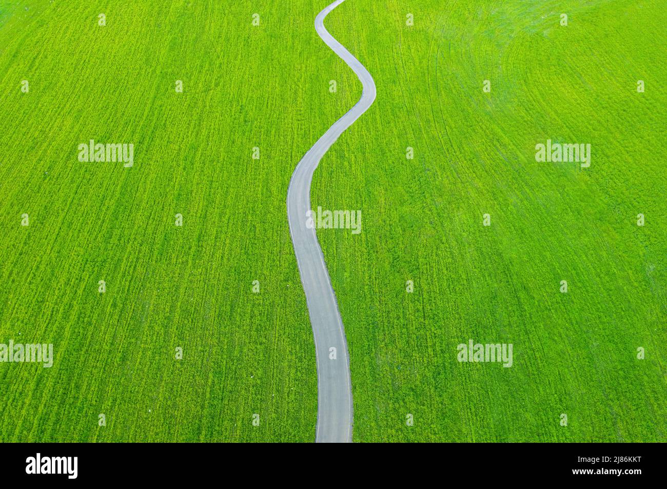 Kurvenreiche Asphaltstraße über Felder mit grünem Gras. Drohnenperspektive, minimalistischer Hintergrund Stockfoto