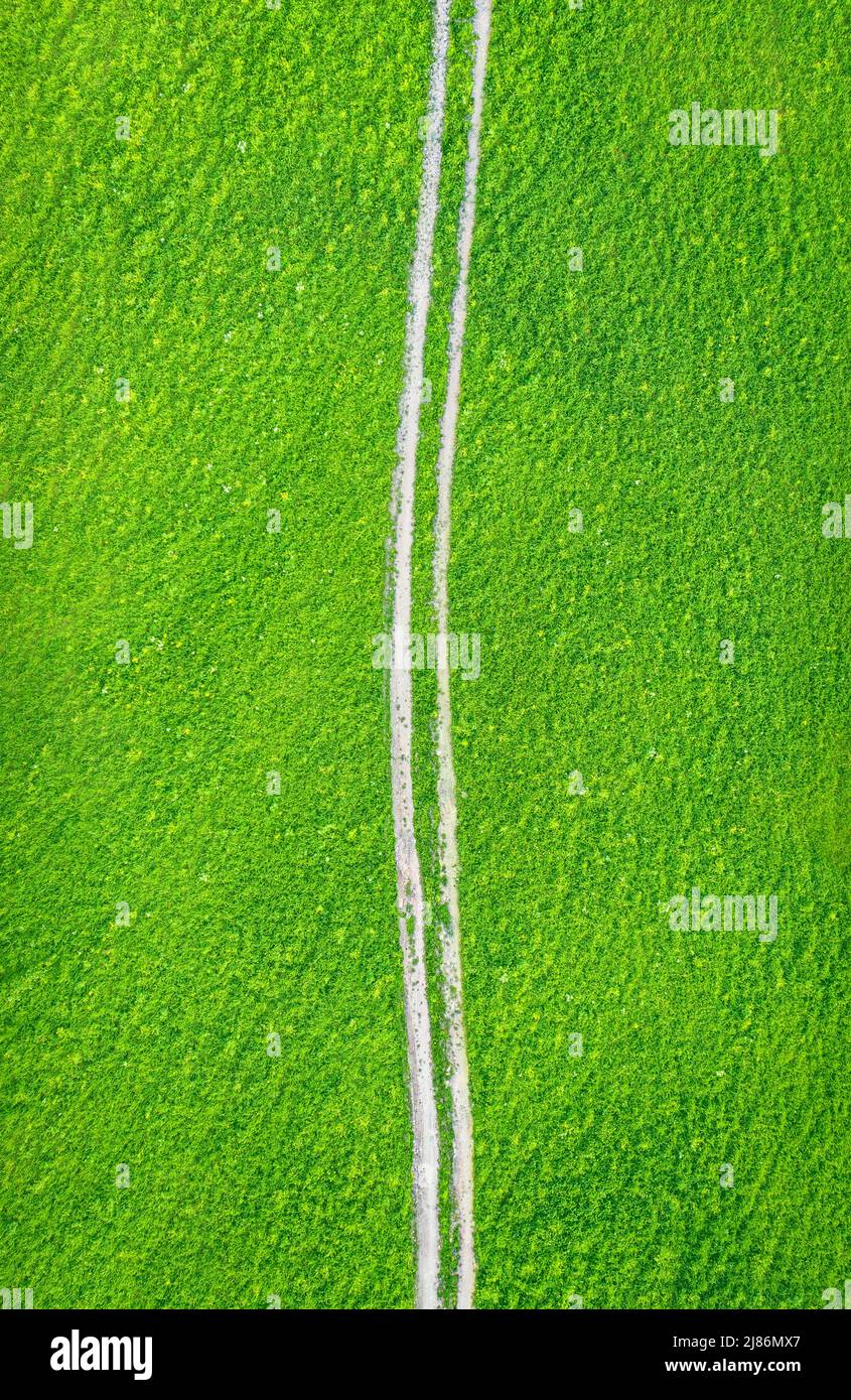 Feld von grünem Gras mit weißer unbefestigter Straße mit Reifenspuren, vertikale Ansicht von oben Stockfoto