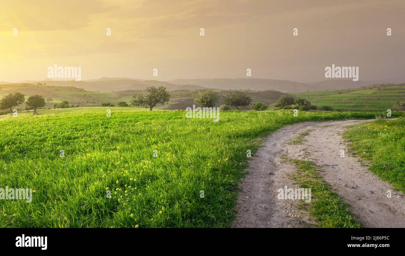 Idyllische Sonnenuntergangslandschaft mit grünem Gras und Landstraße. Frühling in Zypern Stockfoto
