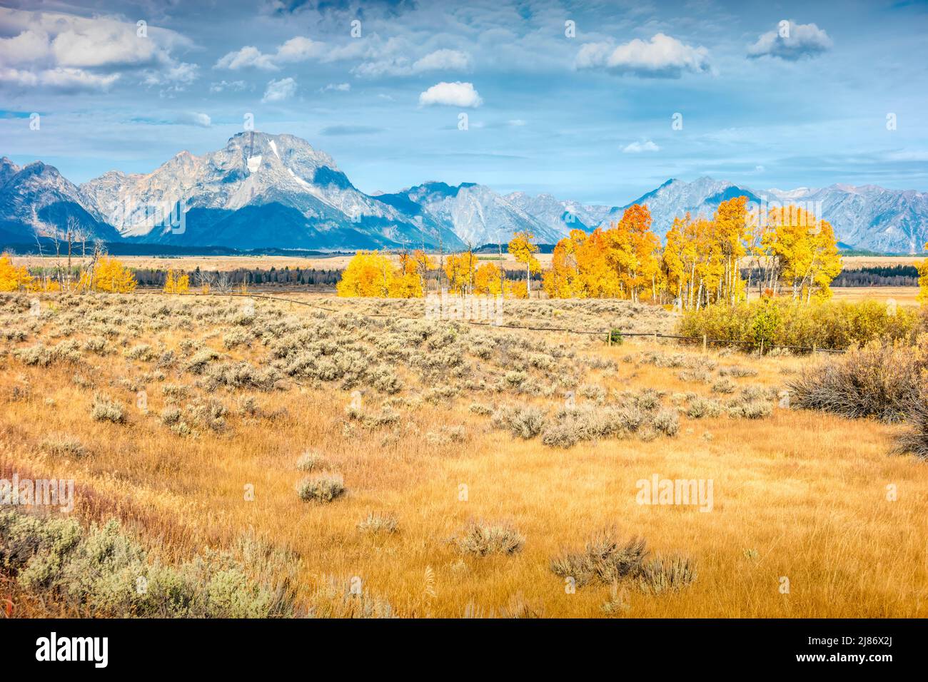 Wiese mit Mount Moran im Hintergrund im Grand Teton National Park, Wyoming, USA Stockfoto