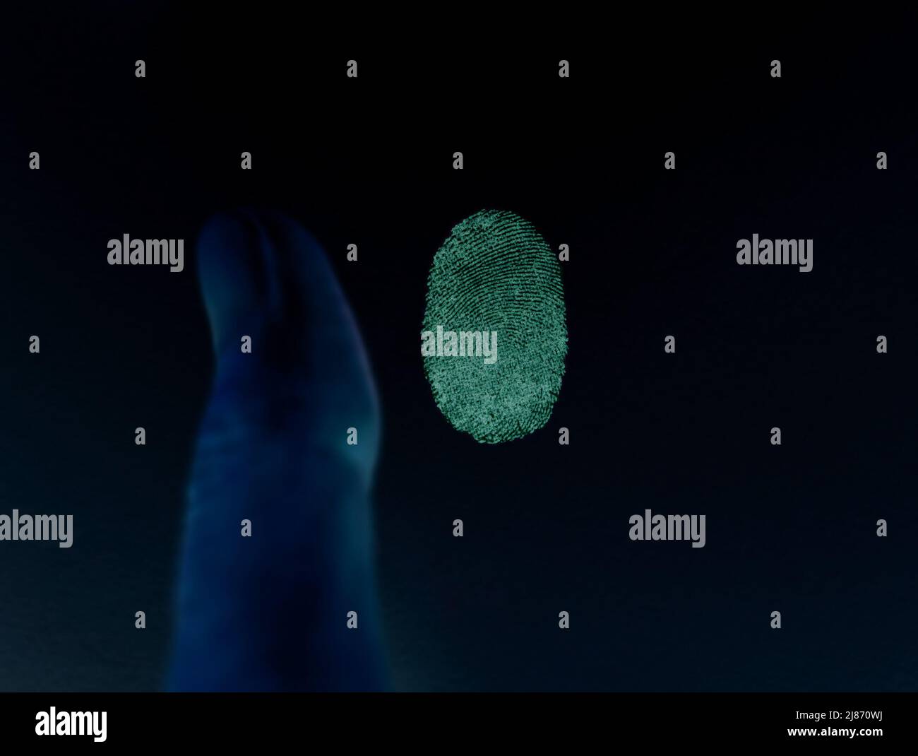 UV-Licht-Erkennung eines Fingerabdrucks auf der Papieroberfläche. Biologische Materialien fluoreszieren (leuchten) unter ultraviolettem Licht und machen sie sichtbarer Stockfoto