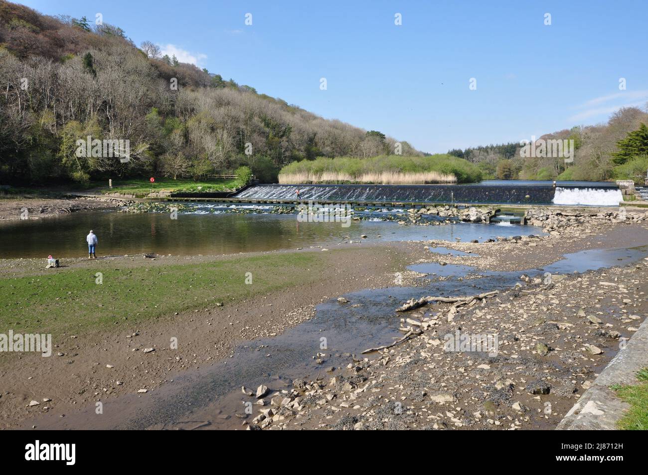 Lopwell-Staudamm am Fluss Tavy, in der Nähe von Plymouth, Devon, Großbritannien Stockfoto