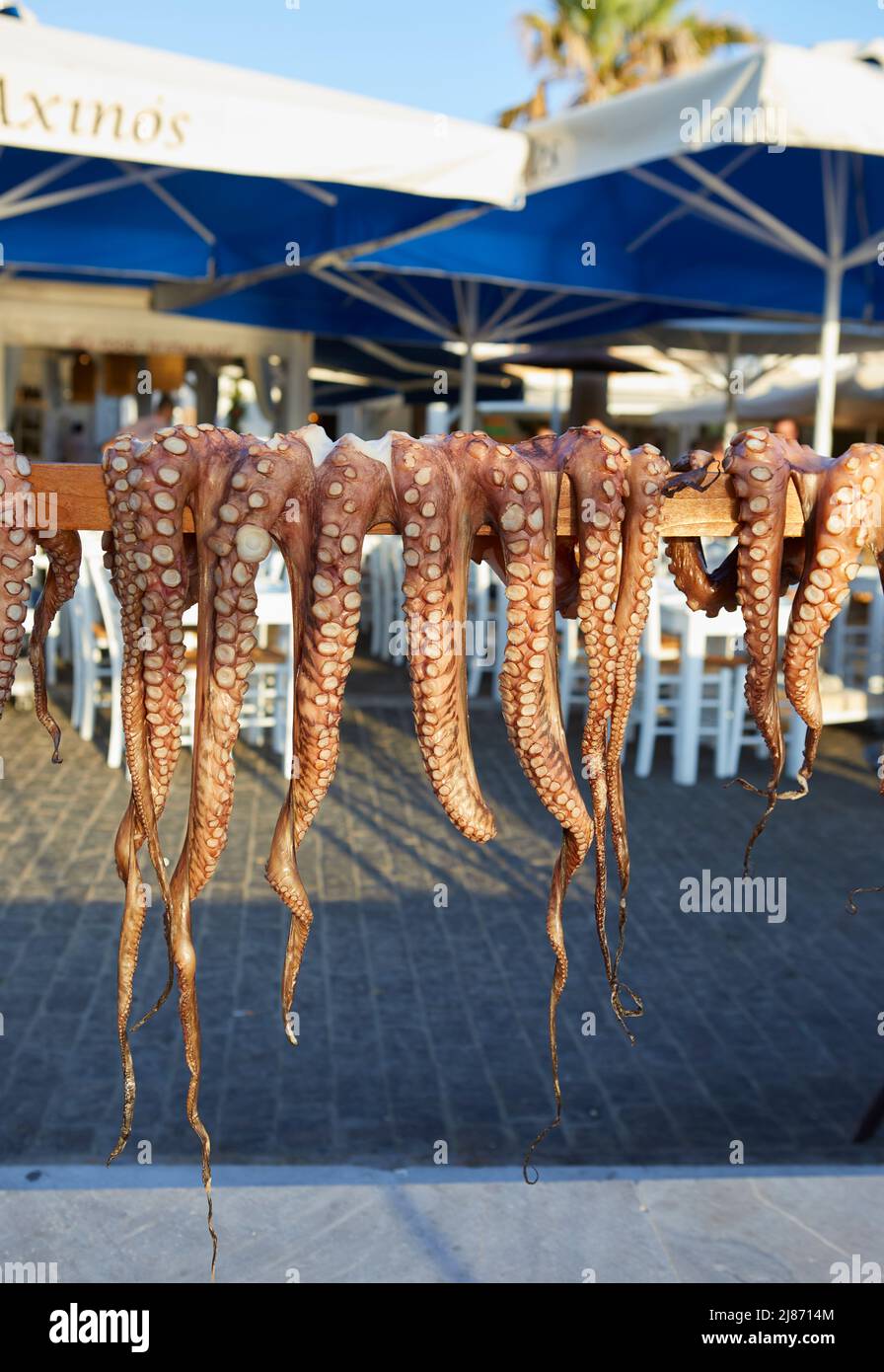 Octopus trocknet unter der Sonne in Naousa Dorf, Paros, Kykladen, Griechenland Stockfoto