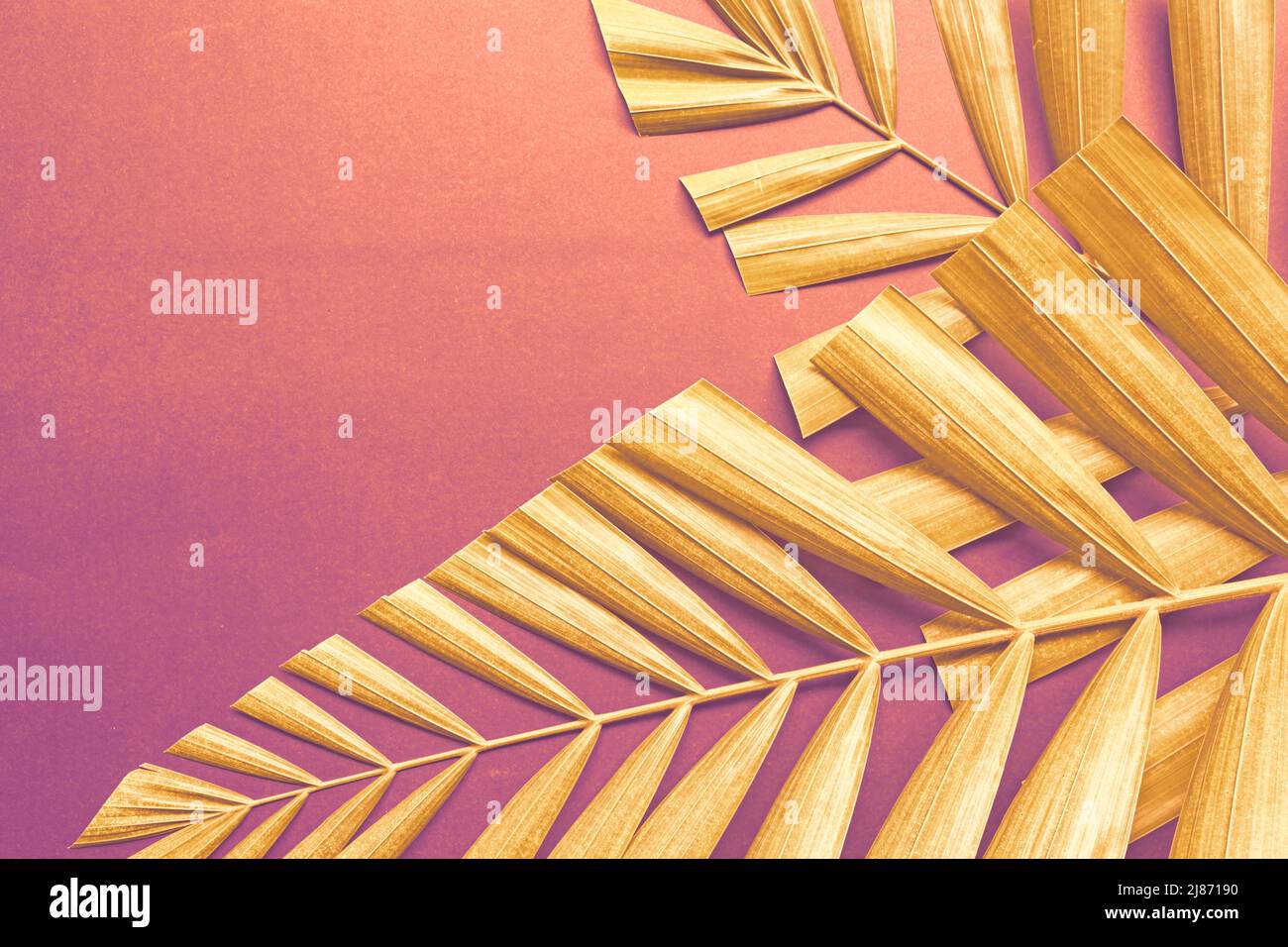 Verschwommener Hintergrund von Palmenblättern mit Vintage-Filter. Speicherplatz kopieren. Stockfoto