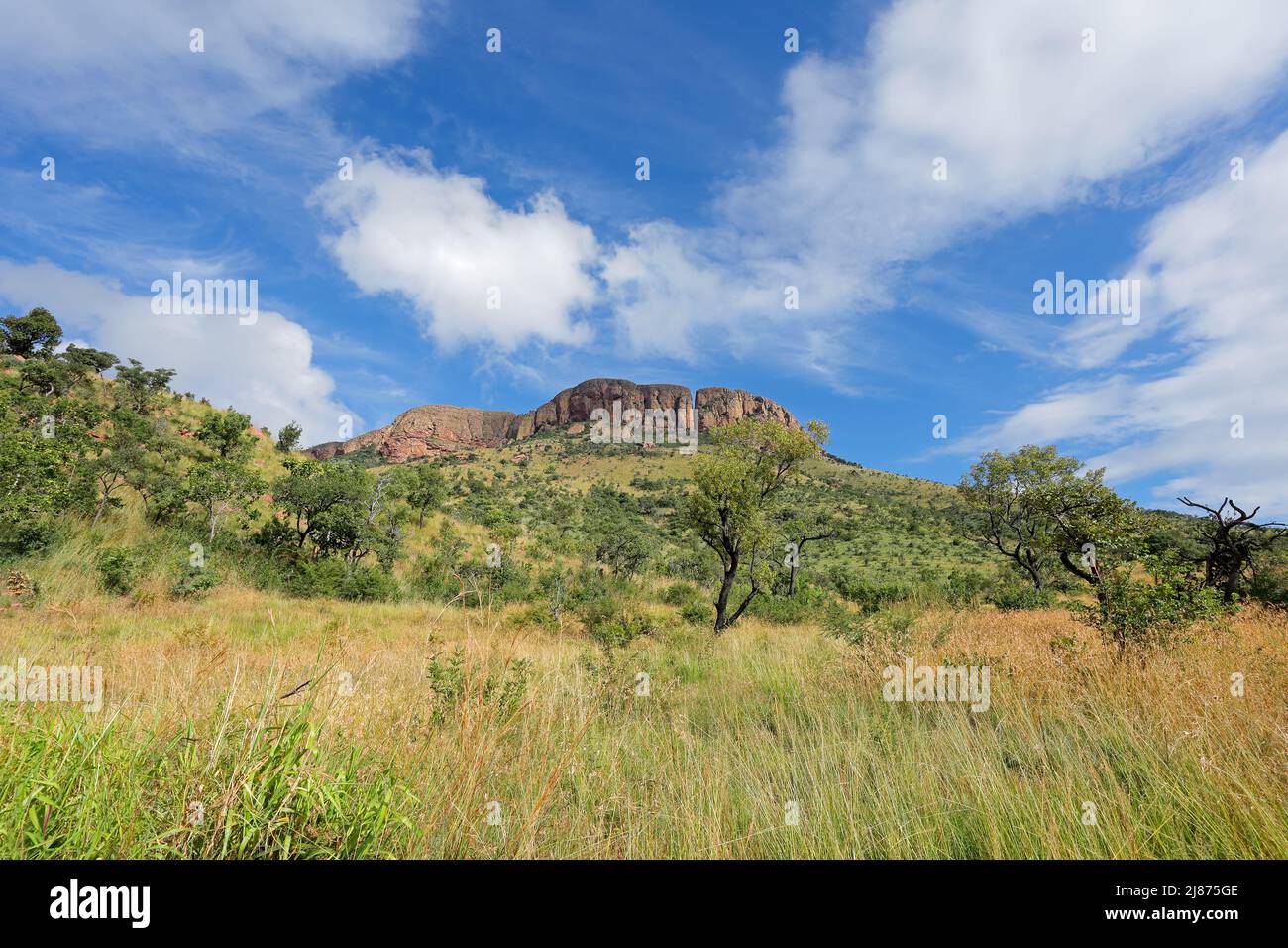 Malerische Berg- und Savannenlandschaft, Marakele-Nationalpark, Südafrika Stockfoto