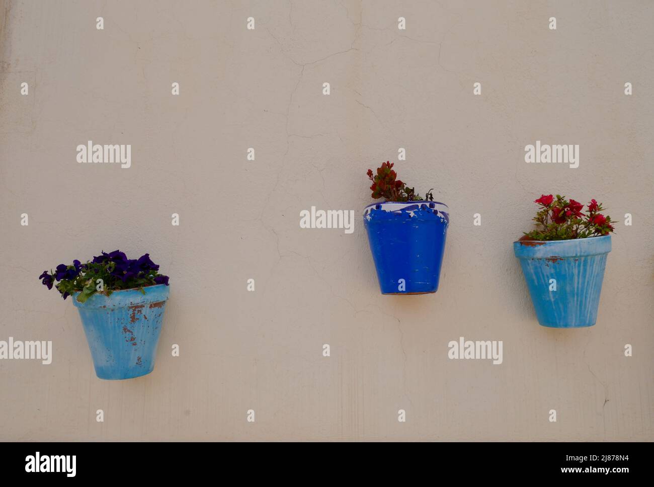 Blaue Blumentöpfe an der weißen Wand. Stockfoto
