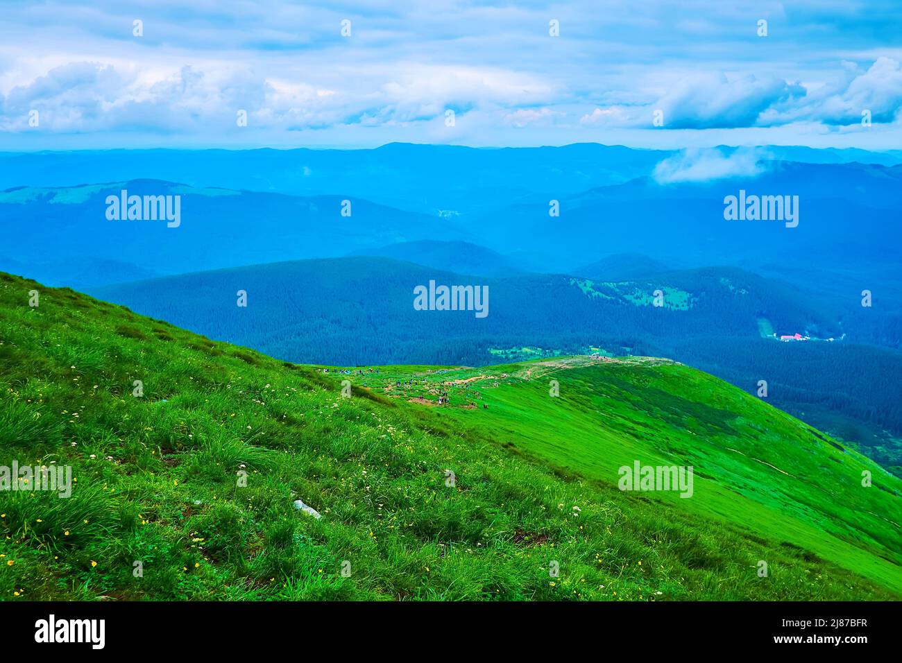 Der grüne Gipfel des Berges Hoverlyana, schmale Wanderpfade und karpaatische Landschaft vom Gipfel des Berges Hoverla, Chornohora Range, Ukraine Stockfoto