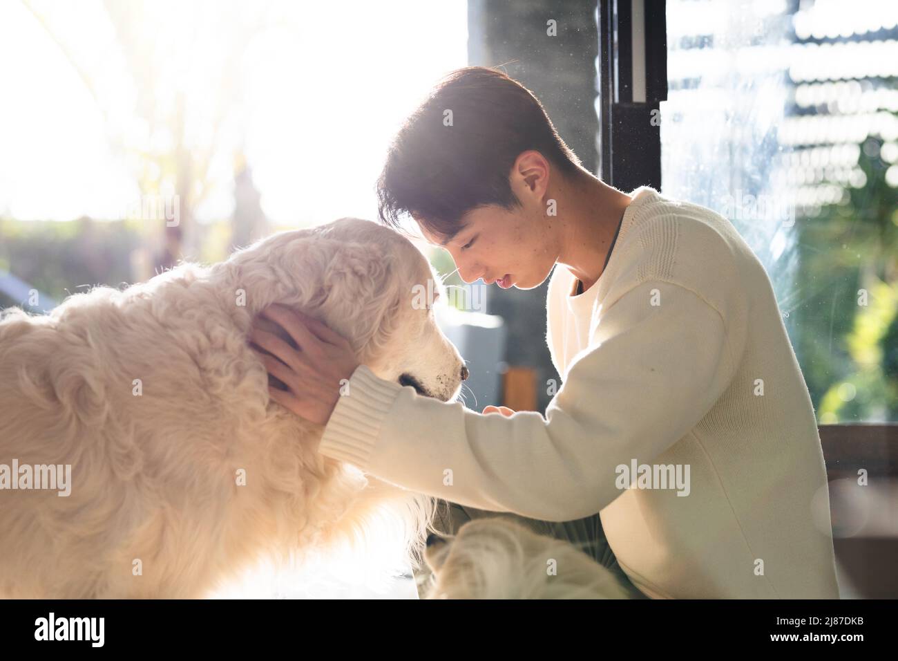 Seitenansicht des asiatischen Teenagerjungen streichelte Hund, während er zu Hause am Fenster saß, Platz zum Kopieren Stockfoto