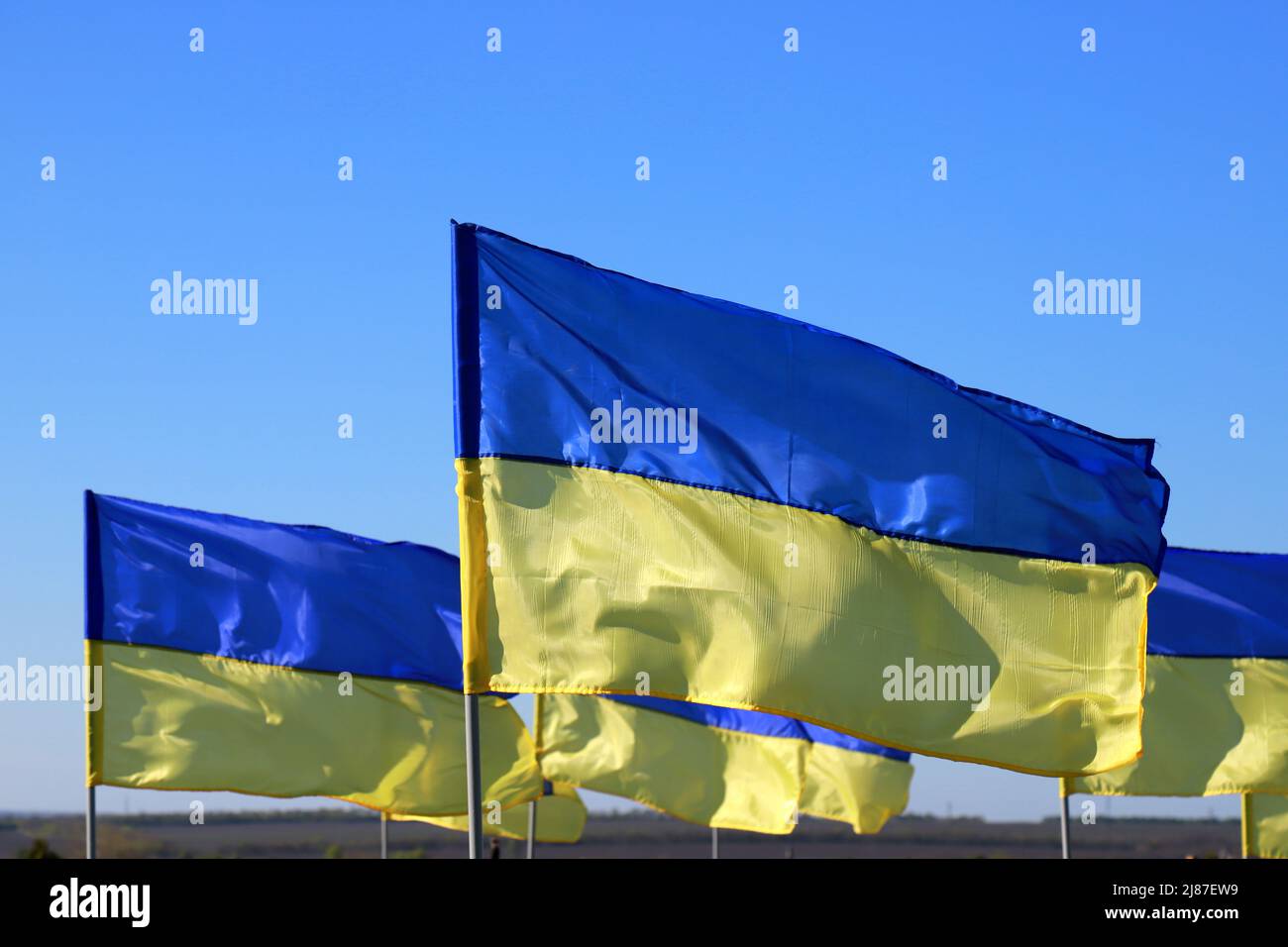 Viele Staatsflaggen der Ukraine fliegen im Wind. Konzept des heroischen Kampfes des ukrainischen Volkes gegen den russischen Krieg. Stockfoto