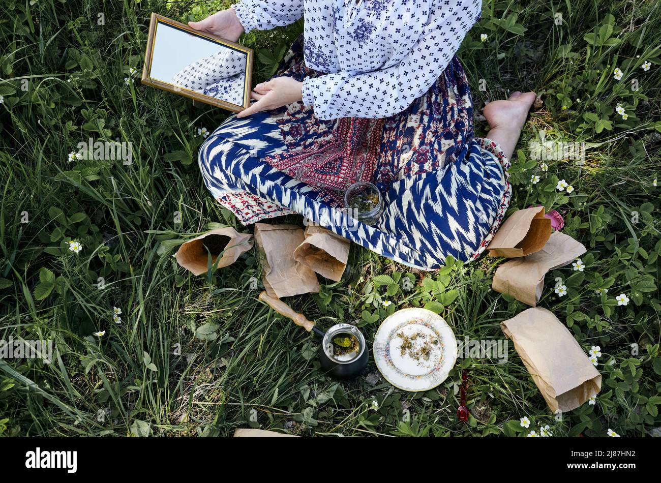 Die Frau sammelt Heilkräuter auf der grünen Wiese. Frische grüne Kräuter ernten. Alternative Kräutermedizin. Sammlung von Heilkräutern Stockfoto