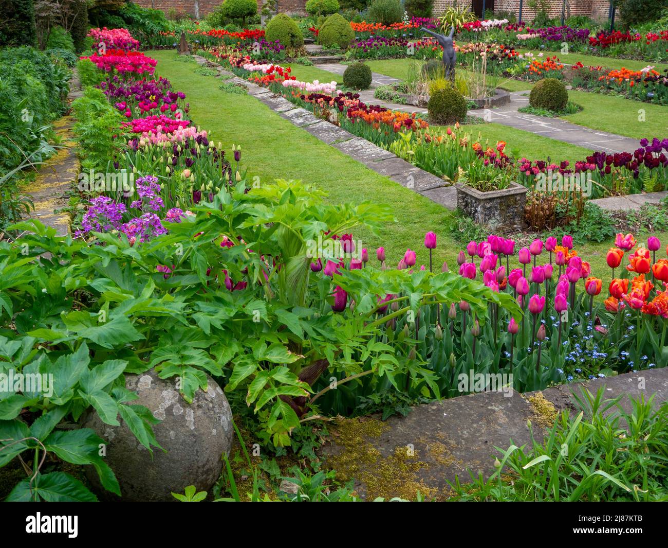 Chenies Manor Garden. Ecke des Gartens voll von bunten Tulpen Sorten, Zierteich und üppig grünen Laub im versunkenen Garten Stockfoto