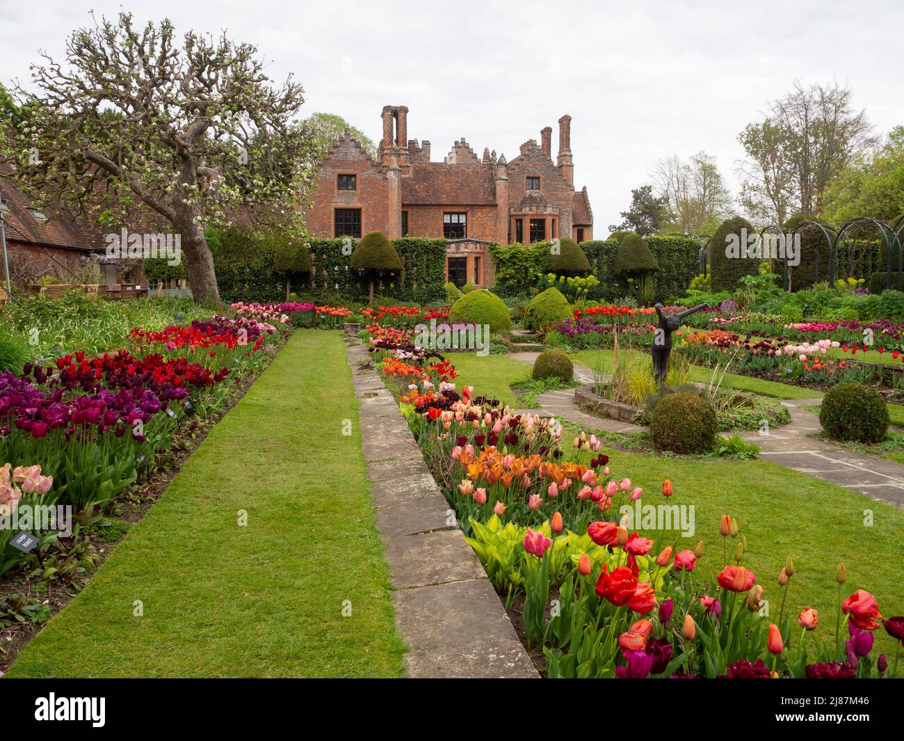 Chenies Manor Garden.Blick auf das Tudor Manor vom schönen versunkenen Garten mit vielen Tulpenarten in voller Blüte. Rot, pastellrosa, lila Blüten. Stockfoto