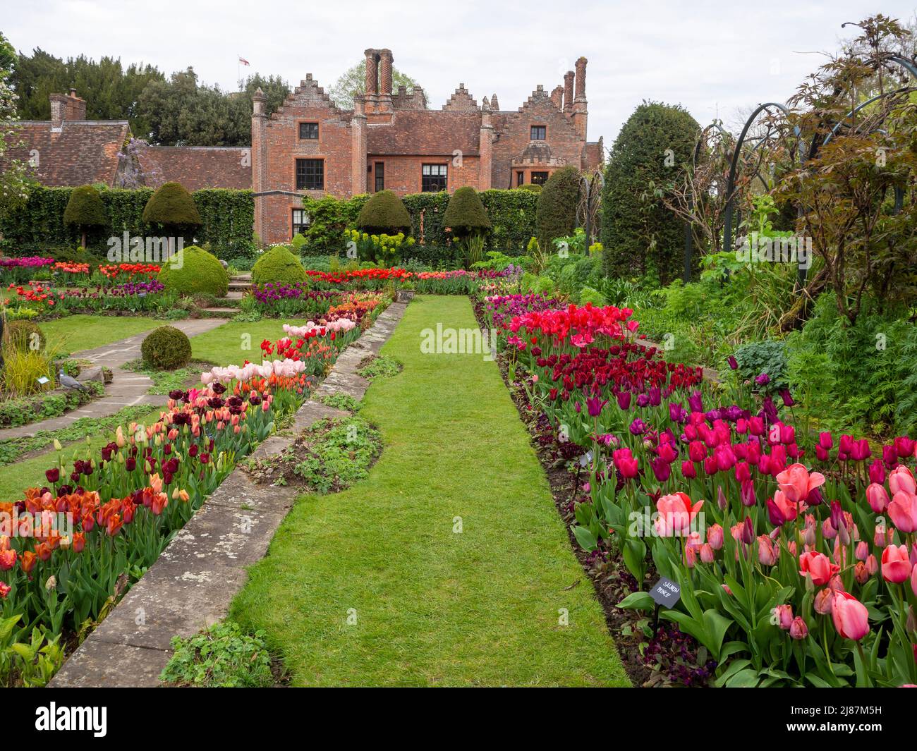 Chenies Manor House and Garden at Tulip Time. Stockfoto