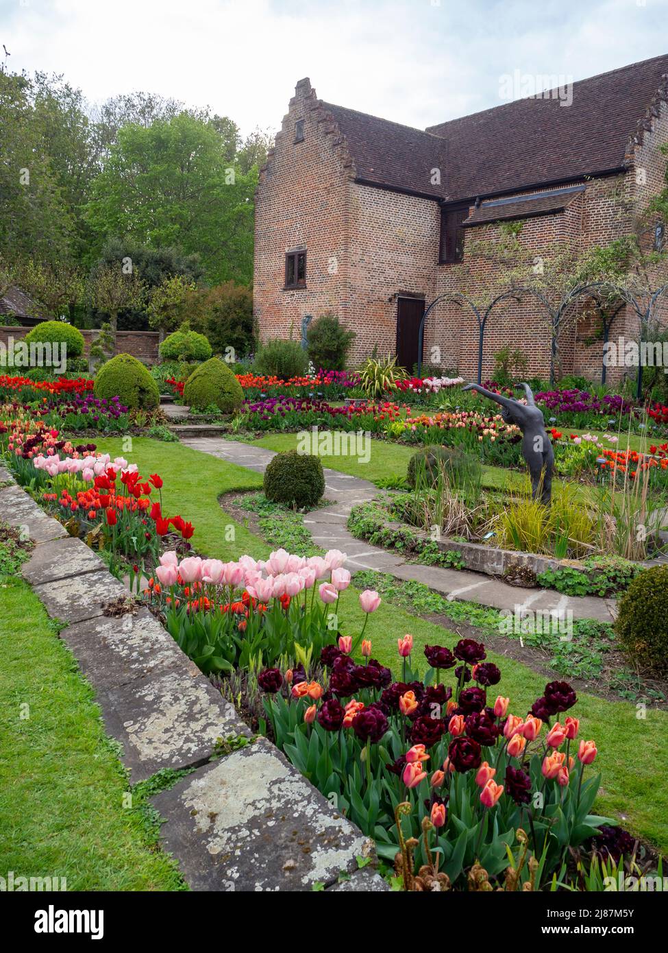 Chenies Manor Garden.Porträtansicht des schönen versunkenen Gartens mit vielen Tulpen-Sorten. Stockfoto