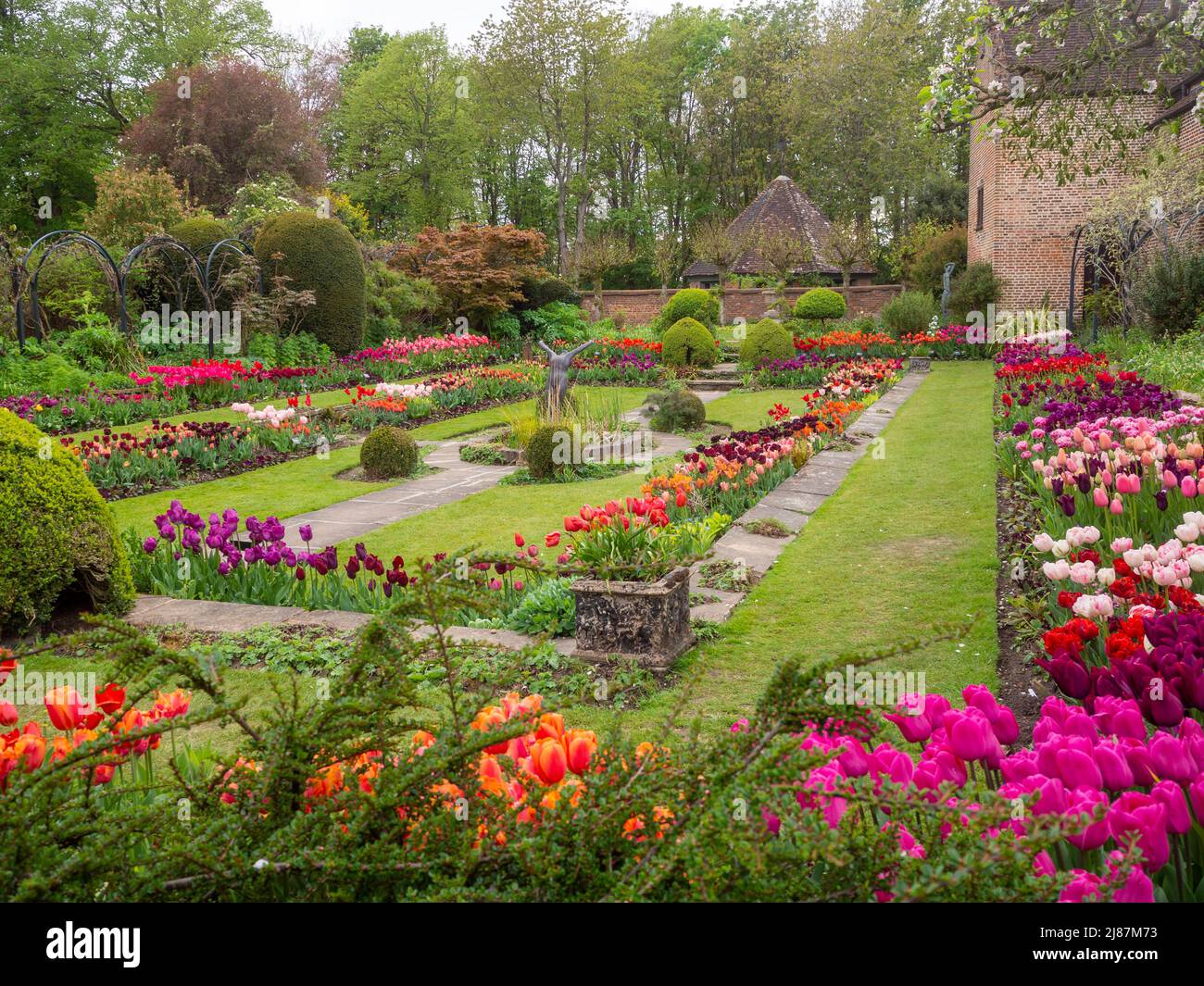 Chenies Manor Garden. Schöner historischer versunkener Garten mit Zierteich, Tulpendarstellung in voller Farbe; aufgenommen unter dem Bramley-Apfelbaum. Stockfoto
