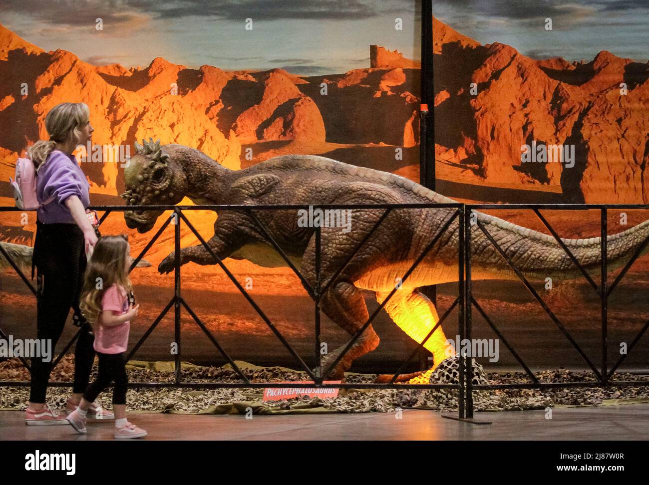 Vancouver, Kanada. 13.. Mai 2022. Auf der Jurassic Quest-Ausstellung im Vancouver Convention Center in Vancouver, British Columbia, Kanada, am 13. Mai 2022 betrachten Menschen ein lebensgroßes Dinosauriermodell. Die Ausstellung mit lebensgroßen animatronischen Dinosauriern, fossilen Ausstellungen und interaktiven Shows findet vom 13. Bis 15. Mai in Vancouver statt. Quelle: Liang Sen/Xinhua/Alamy Live News Stockfoto