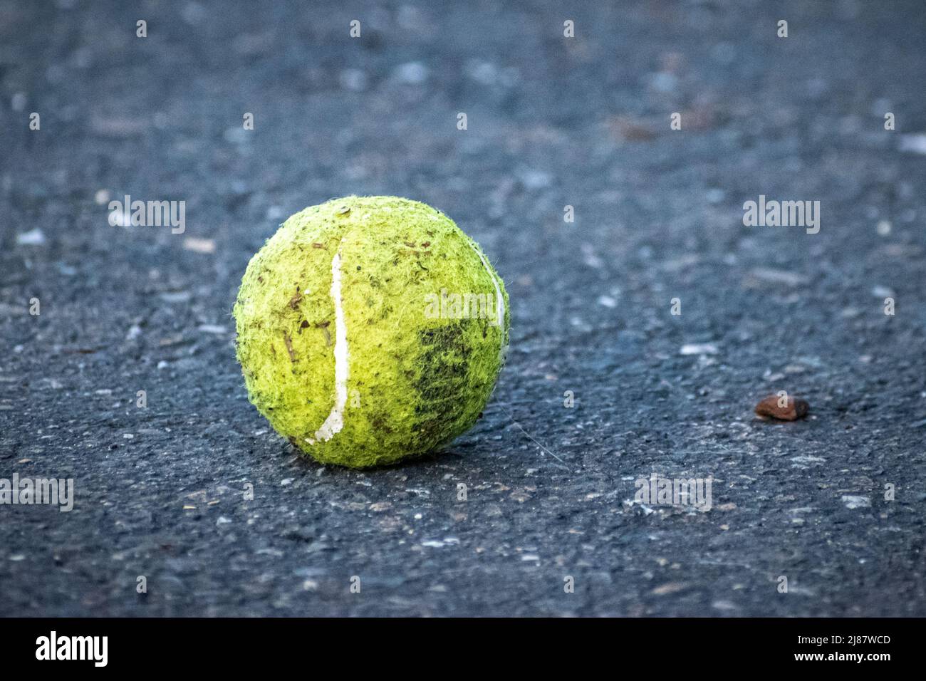 Ein schmutziger Tennisball. Stockfoto