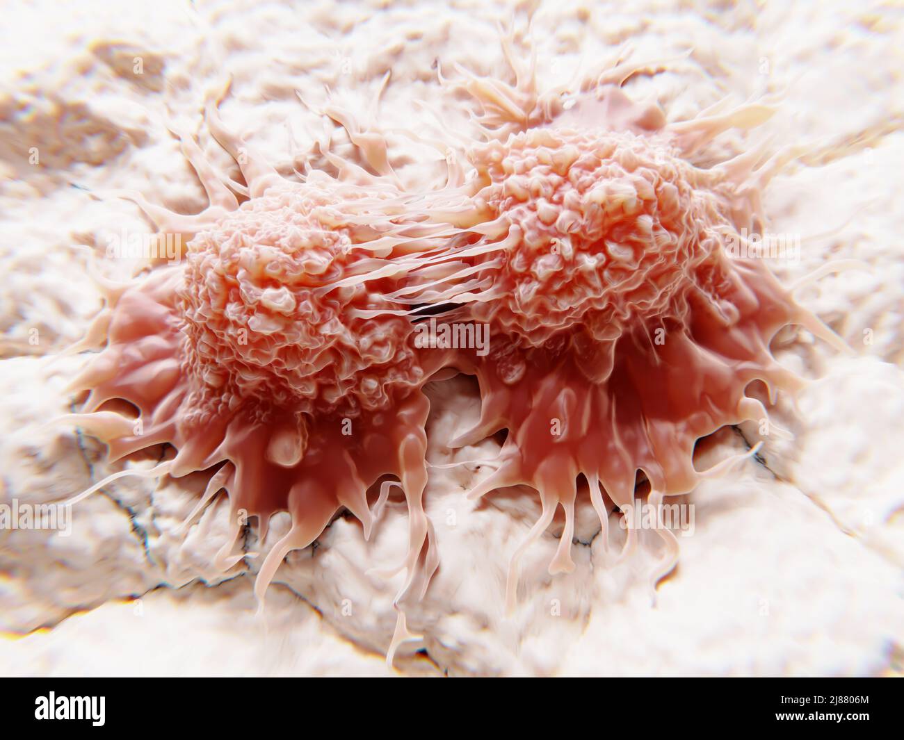 Teilen von Krebszellen, Illustration Stockfoto