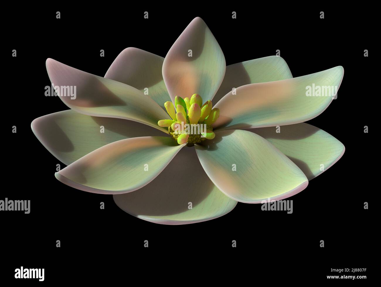 Kunstwerk der ersten bekannten Blume Stockfoto