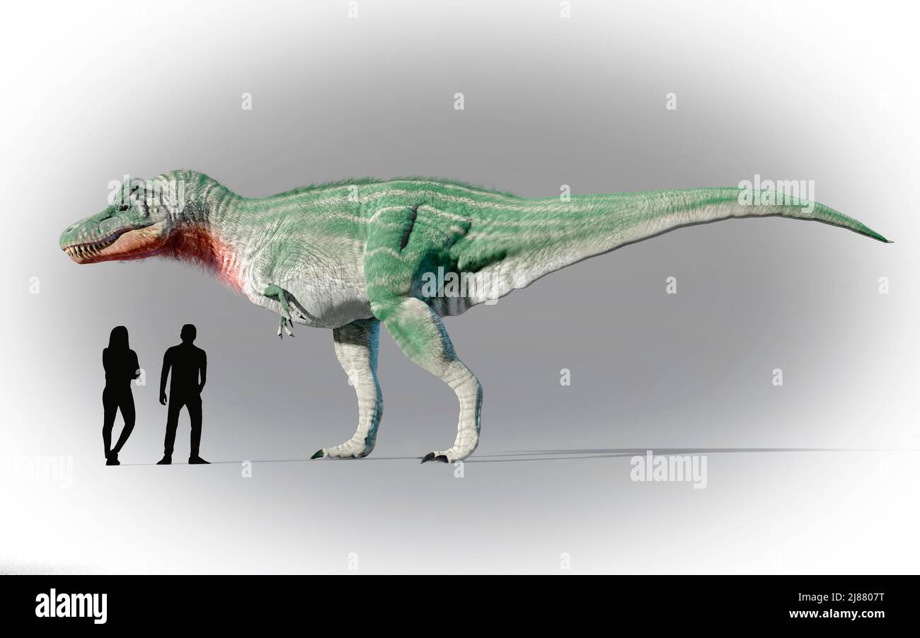 Menschen Vs. Tyrannosaurus Stockfoto