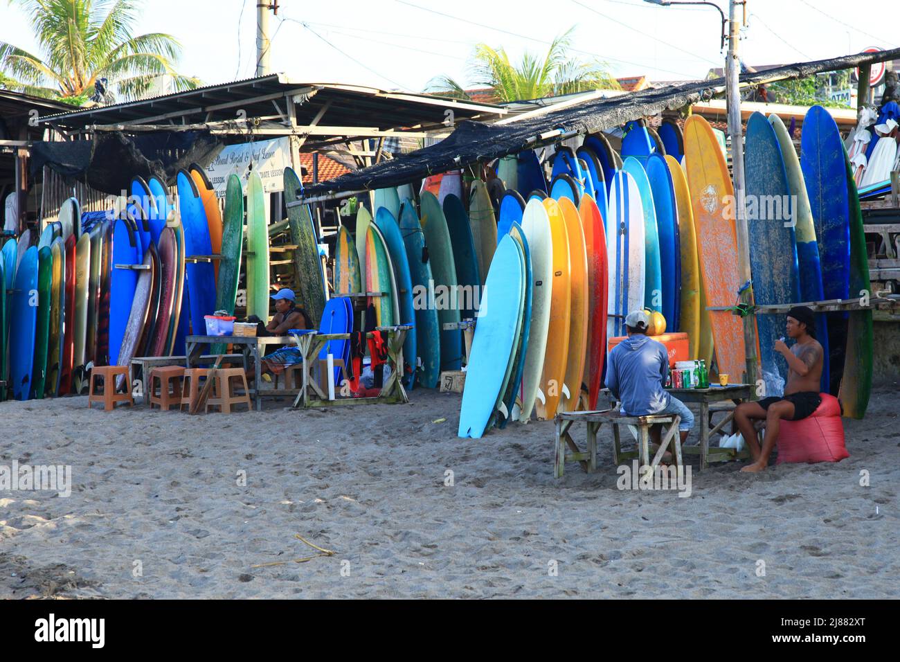 Surfbretter zur Miete am Batu Bolong Beach in Canggu, Bali, Indonesien mit Longboards, Short Boards und Body Boards. Stockfoto