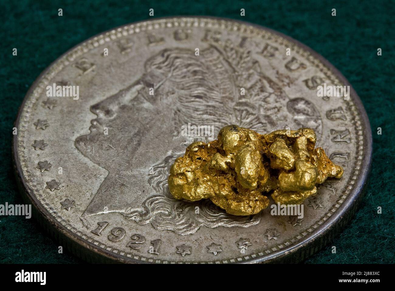 6 Gram Australian Gold Nugget auf United States Silver Dollar - Precious Metals Stockfoto