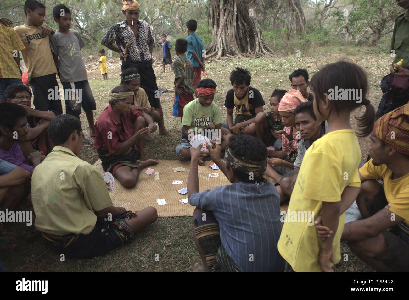 Menschen, die Karten spielen, während sie eine Pause von der Vorbereitung eines Rituals des Hausbaus und der Einweihung in Ratenggaro Village, Umbu Ngedo, Kodi Bangedo, Southwest Sumba, East Nusa Tenggara machen, Indonesien. Stockfoto