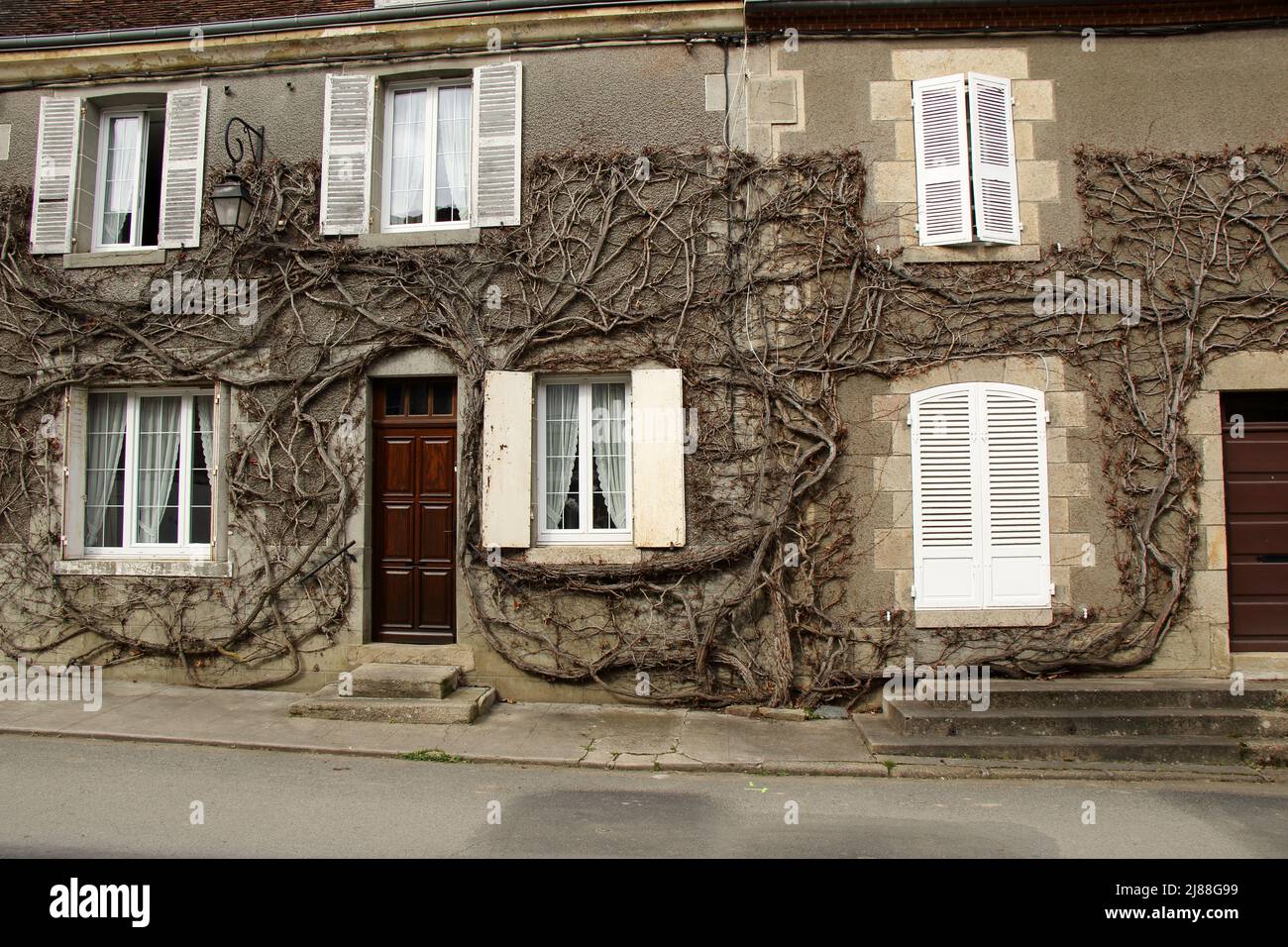 Ein französisches Dorfhaus mit Weinrebe, die vorne wächst. Stockfoto