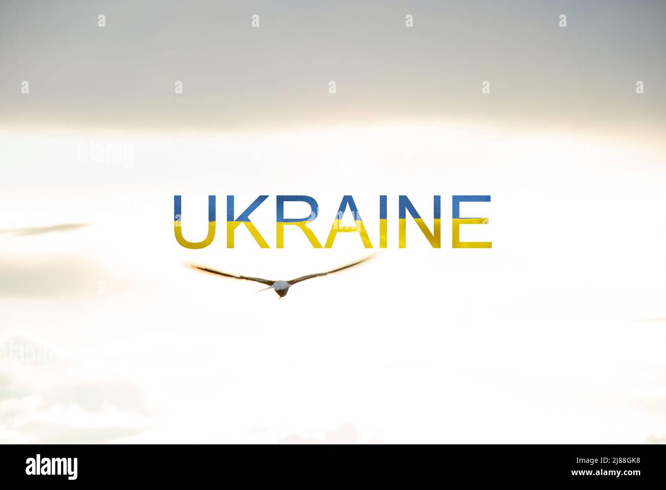 Das Wort Ukraine in der gelb-blauen Farbe der Nationalflagge der Ukraine und in der Nähe am Himmel fliegt eine Möwe über den Dnepr, ein freies Land und p Stockfoto