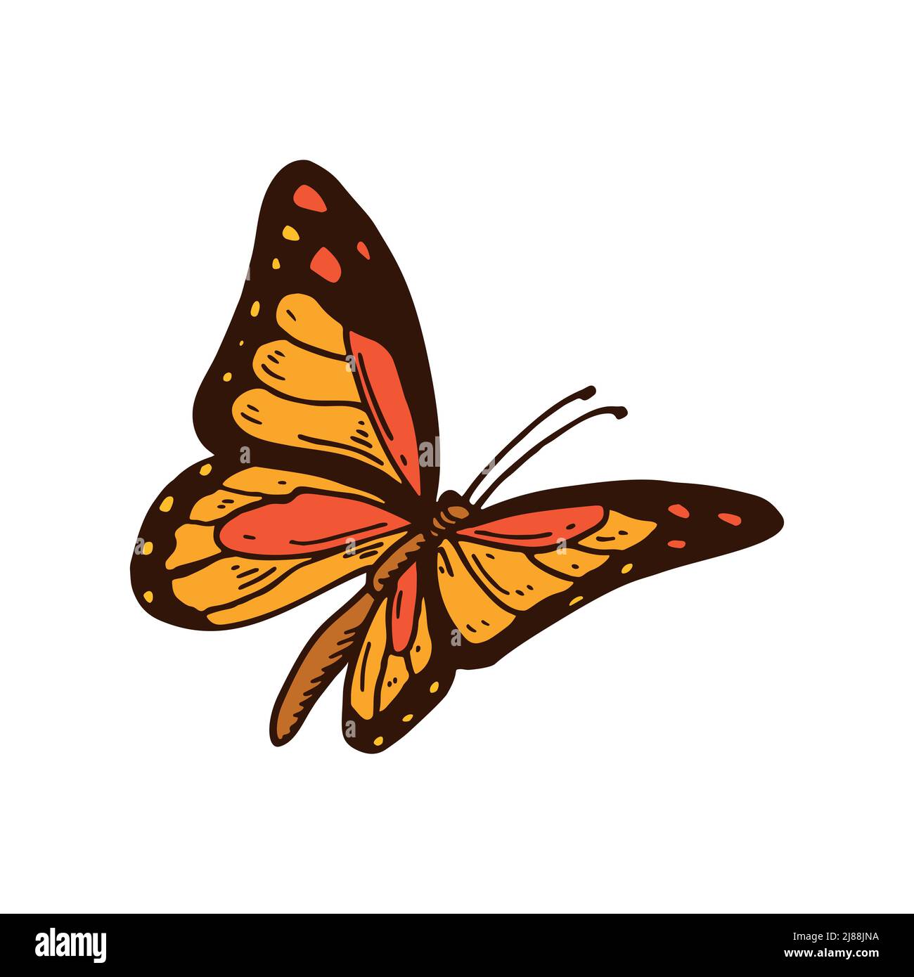 Handgezeichneter farbenprächtiger orangefarbener Monarch-Schmetterling. Vektorgrafik Stock Vektor