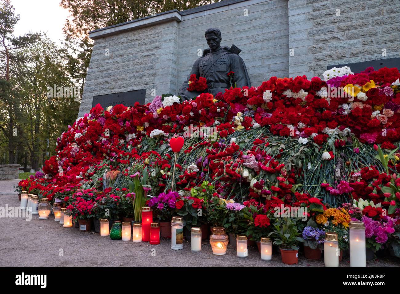 Tallinn, Estland - 12. Mai 2022: Bronze Soldat (est: Pronkssõdur) Denkmal. Veteranen der Roten Armee feiern den Victory Day mit roten Nelkenblumen Stockfoto