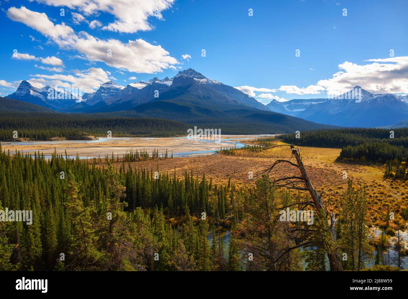 Aussichtspunkt am Howse Pass im Banff National Park, Kanada Stockfoto