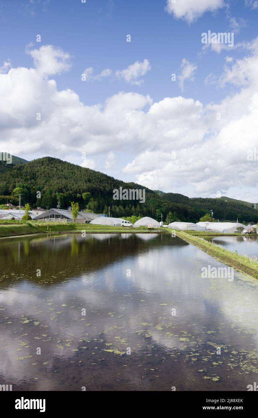 ina, nagano, japan, 2022/14/05 , Reisfelder in Ina, Nagano, im Frühling, während der Überflutung der Felder, so dass sie wie ein Spiegelbild aussehen Stockfoto