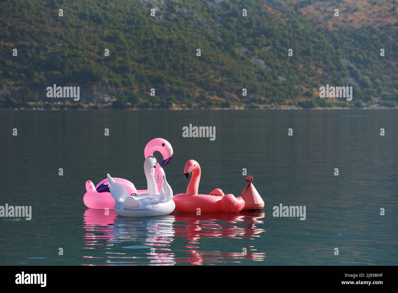 Aufblasbare Flamingos im Meer für sicheres Schwimmen Stockfoto