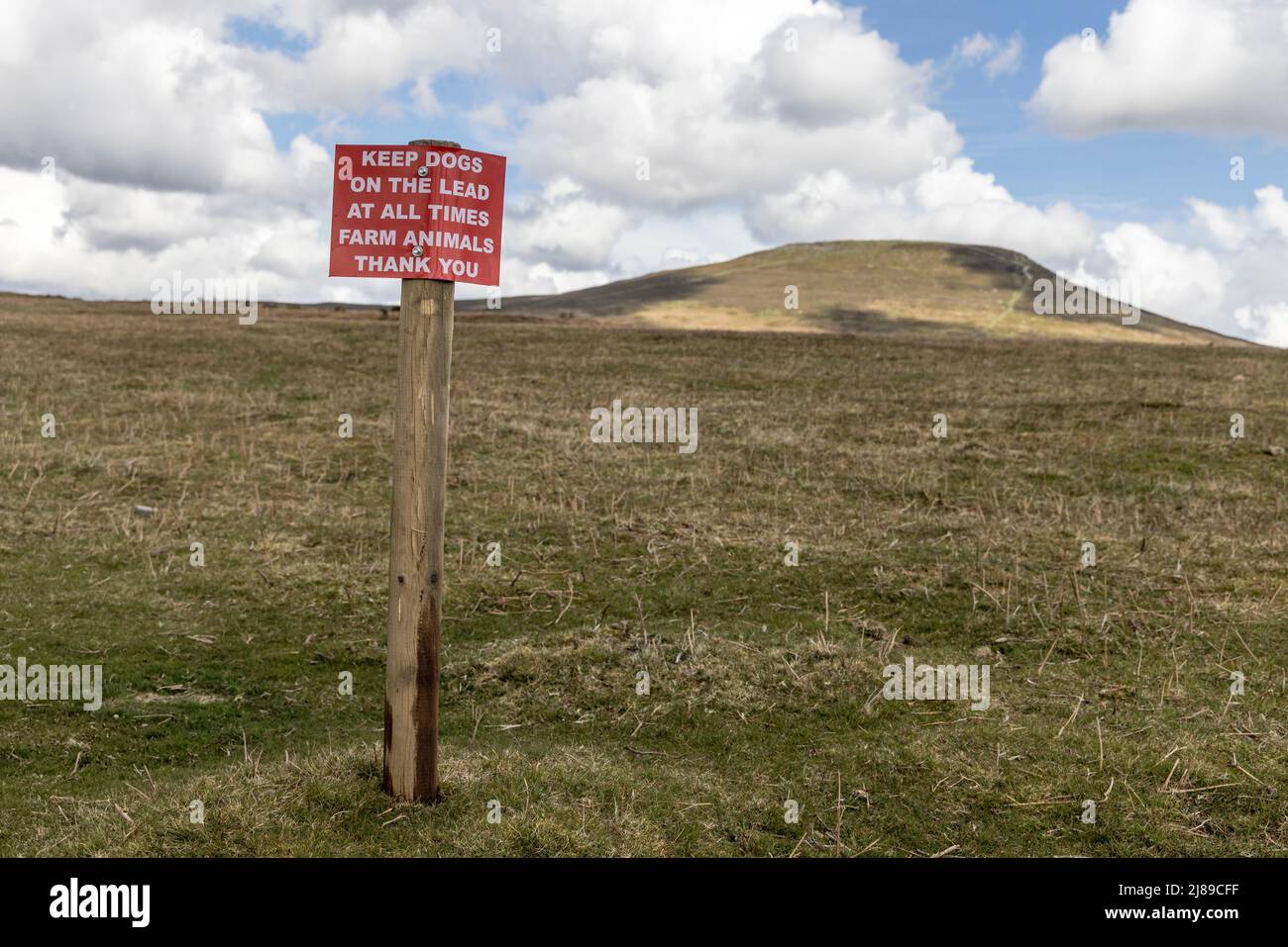 Schild Hunde an der Leine halten, weil Nutztiere auf dem Hang des Sugar Loaf, Wales, Großbritannien, vorhanden sind Stockfoto