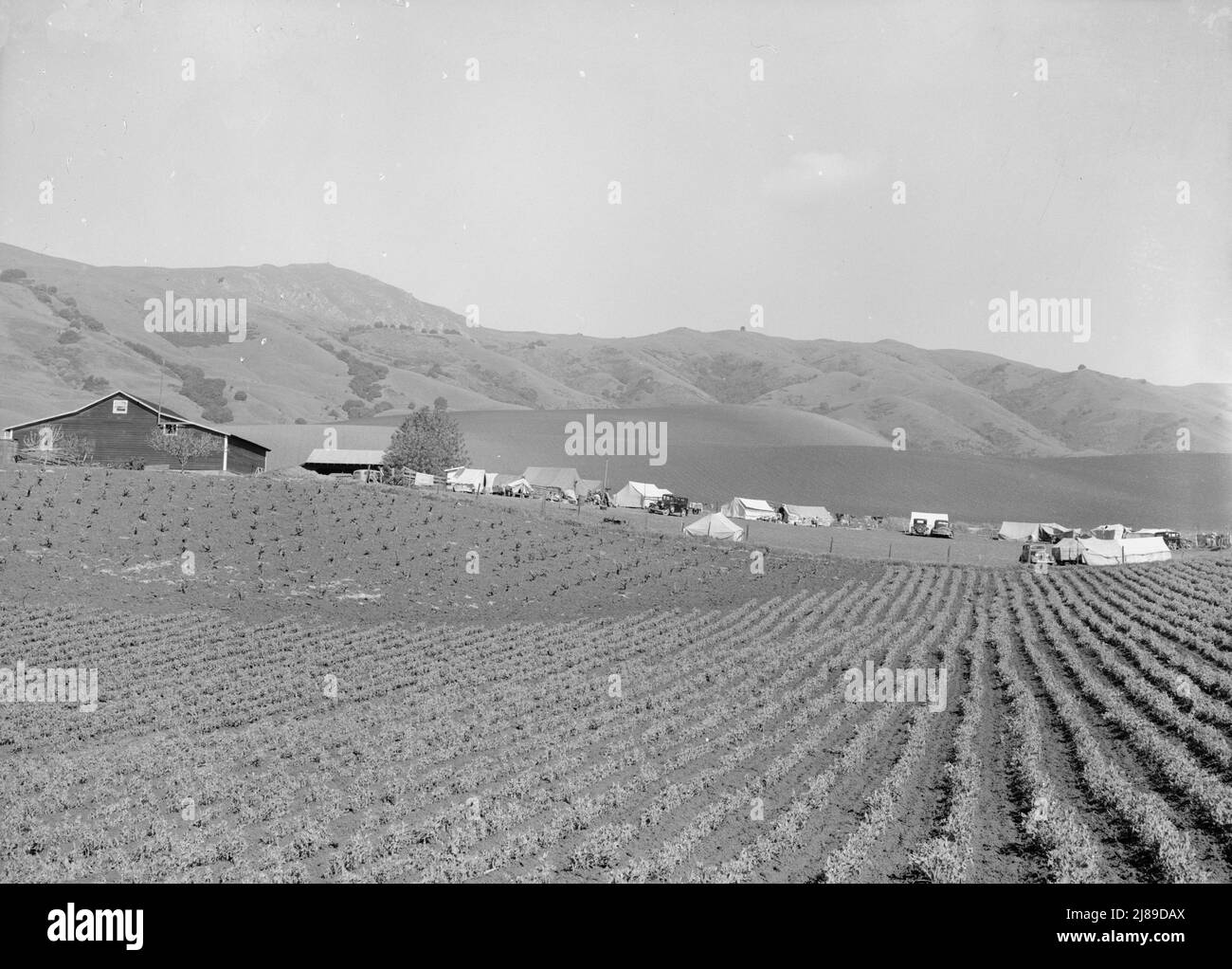 Ranch Camp für Erbsenpflücker. In Der Nähe Von Milpitas, Santa Clara County, Kalifornien. Stockfoto