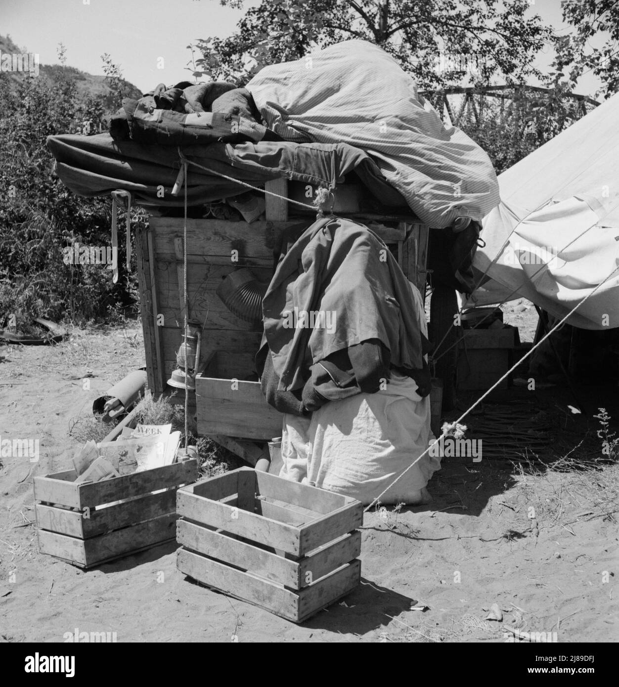 Lager der wandernden Familie aus Texas. Washington, Yakima Valley. Stockfoto