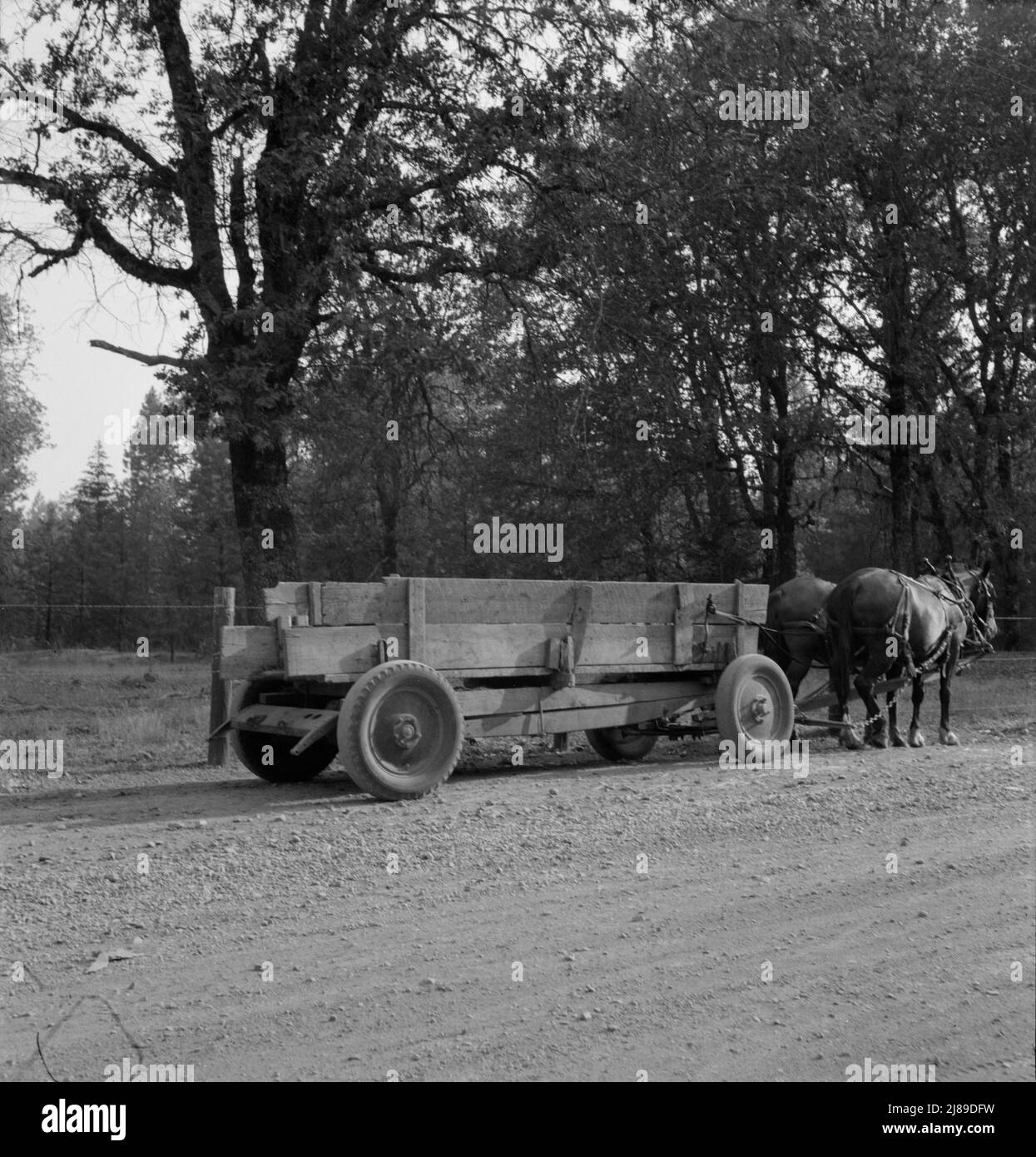 Wagon auf dem Bauernhof mit Teilen von Wracked Dodge LKW gebaut. „Das Team kann dreimal so viel schleppen.“ Oregon, Kirby (Josephine County). Stockfoto