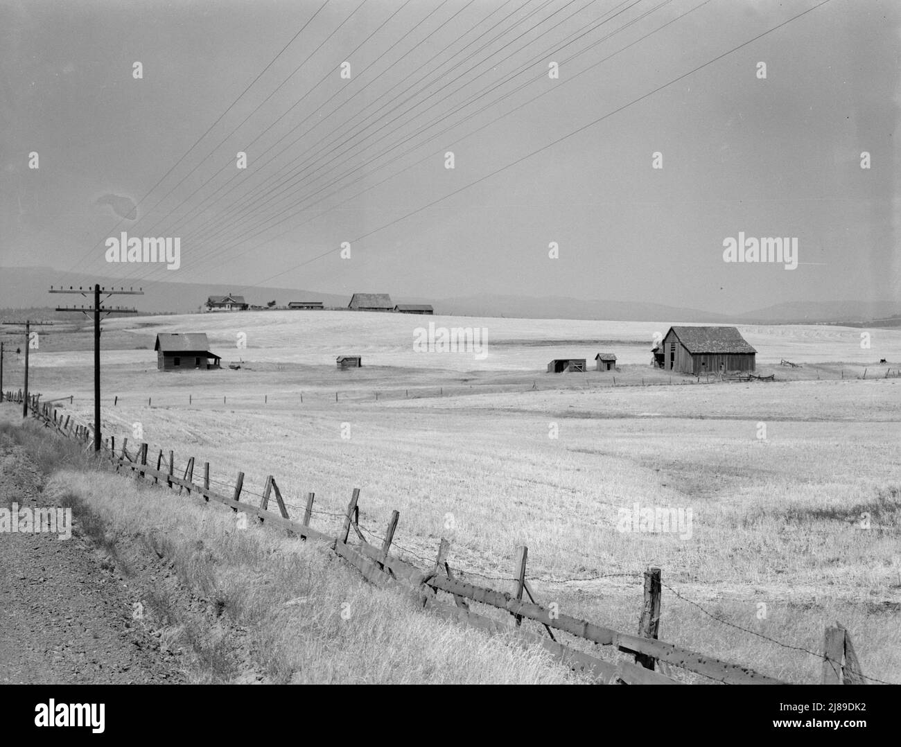 Washington, Klickitat County, in der Nähe von Goldendale. Weizenland, verlassene Farm im Vordergrund, besetzter Bauernhof dahinter. In der örtlichen Tankstelle hörte man: "Na, zum Teufel, die Großbauern kaufen die Kleinbauern aus und übernehmen das Land. Die Bauern müssen es in der Trockenlandwirtschaft tun, um ihr Land bis dahin zu bauen, wo es war. Die kleinen Kerle sind auf den vier Winden.". Stockfoto