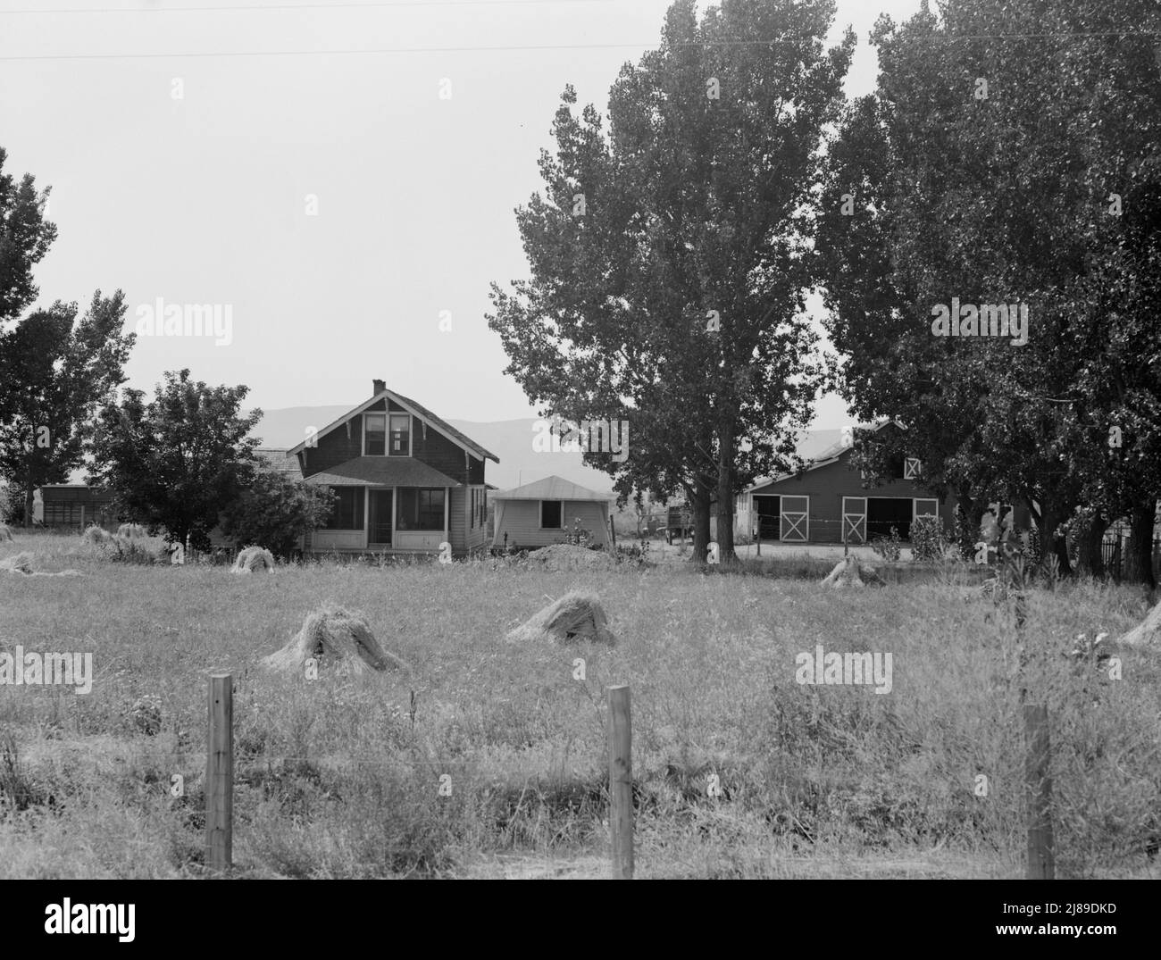 Auf Mieterkauf-Programm (Farm Security Administration). Ein weiterer Blick auf E. Houston's Farm. Washington, Yakima County, westlich von Toppenish. Stockfoto