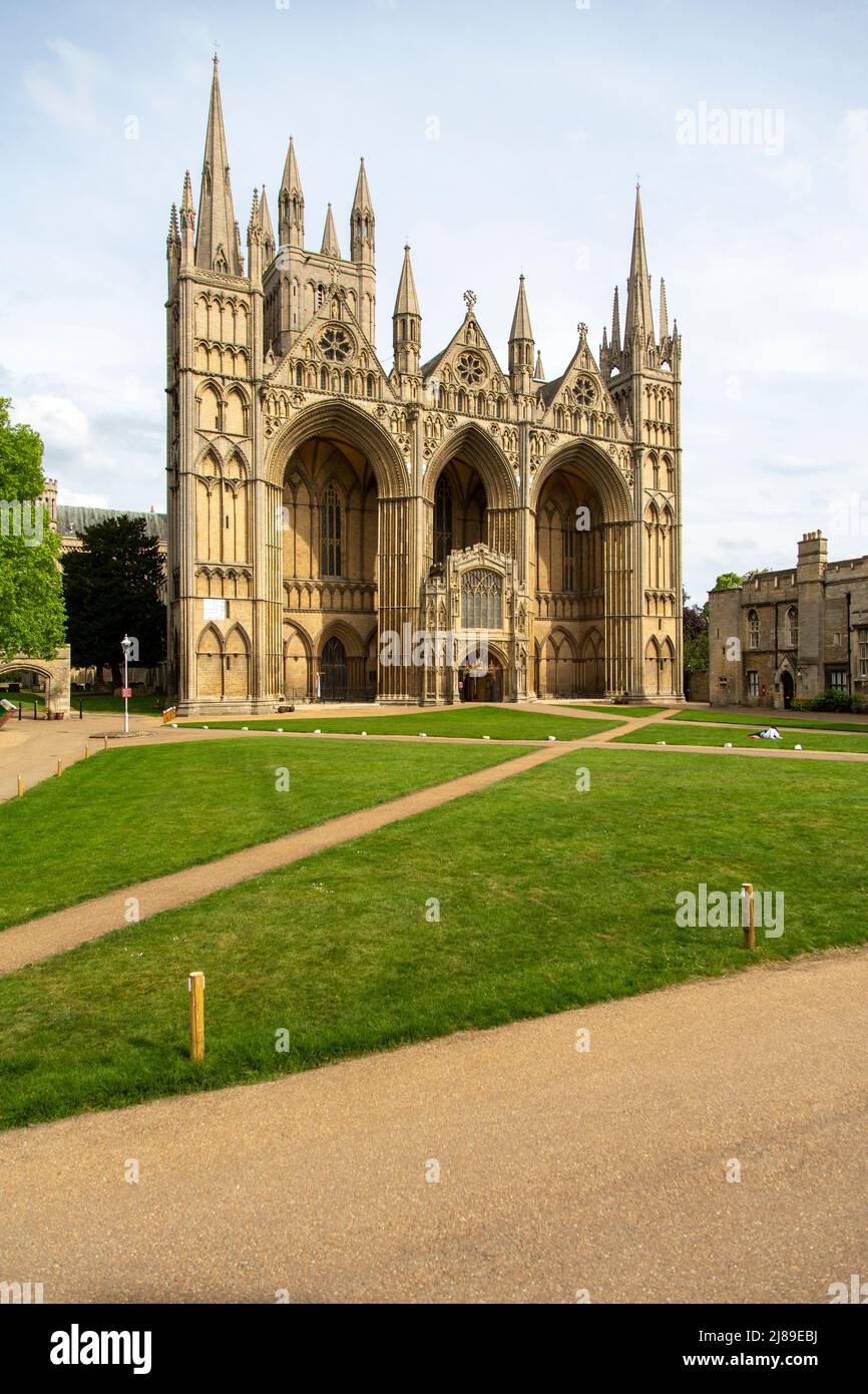 Rasen und die Westfront der mittelalterlichen gotischen Peterborough Cathedral, England, Großbritannien Stockfoto
