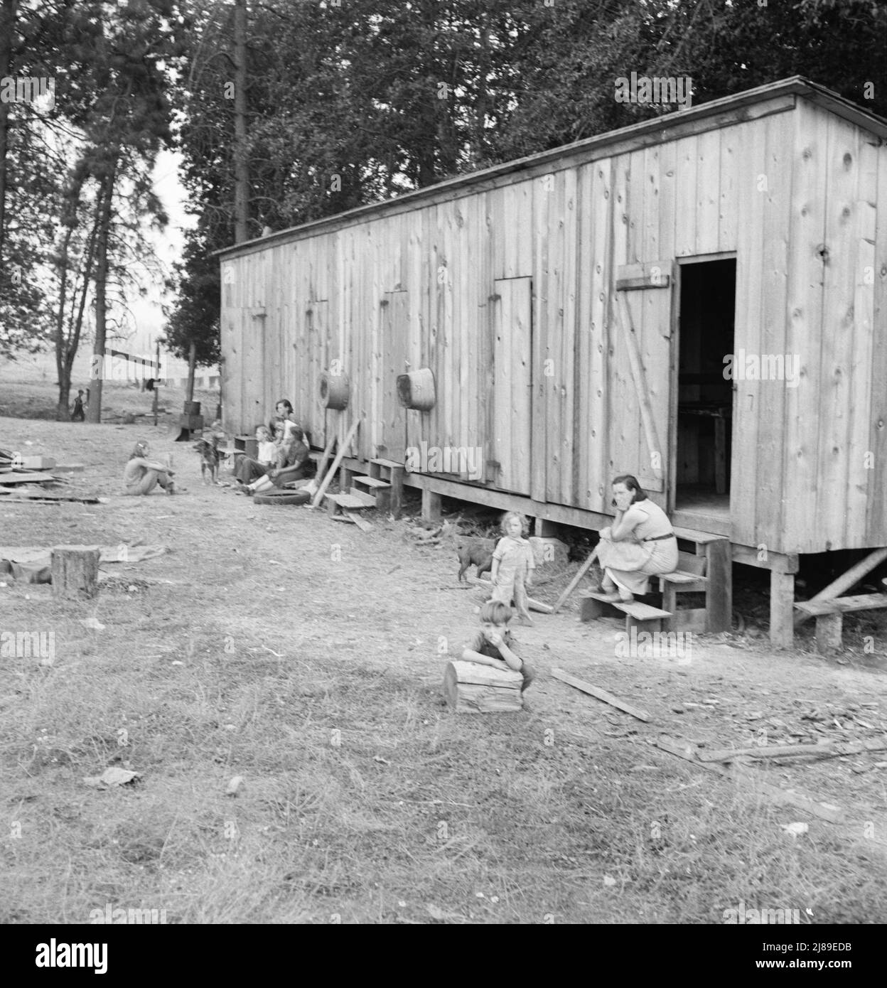 Oregon, Josephine County, in der Nähe von Grants Pass. Ein Zimmer pro Familie in rauen Holzbaracken auf dem Grundstück des Anbauers. Kein fließendes Wasser im Lager. Hopfenranch. Stockfoto