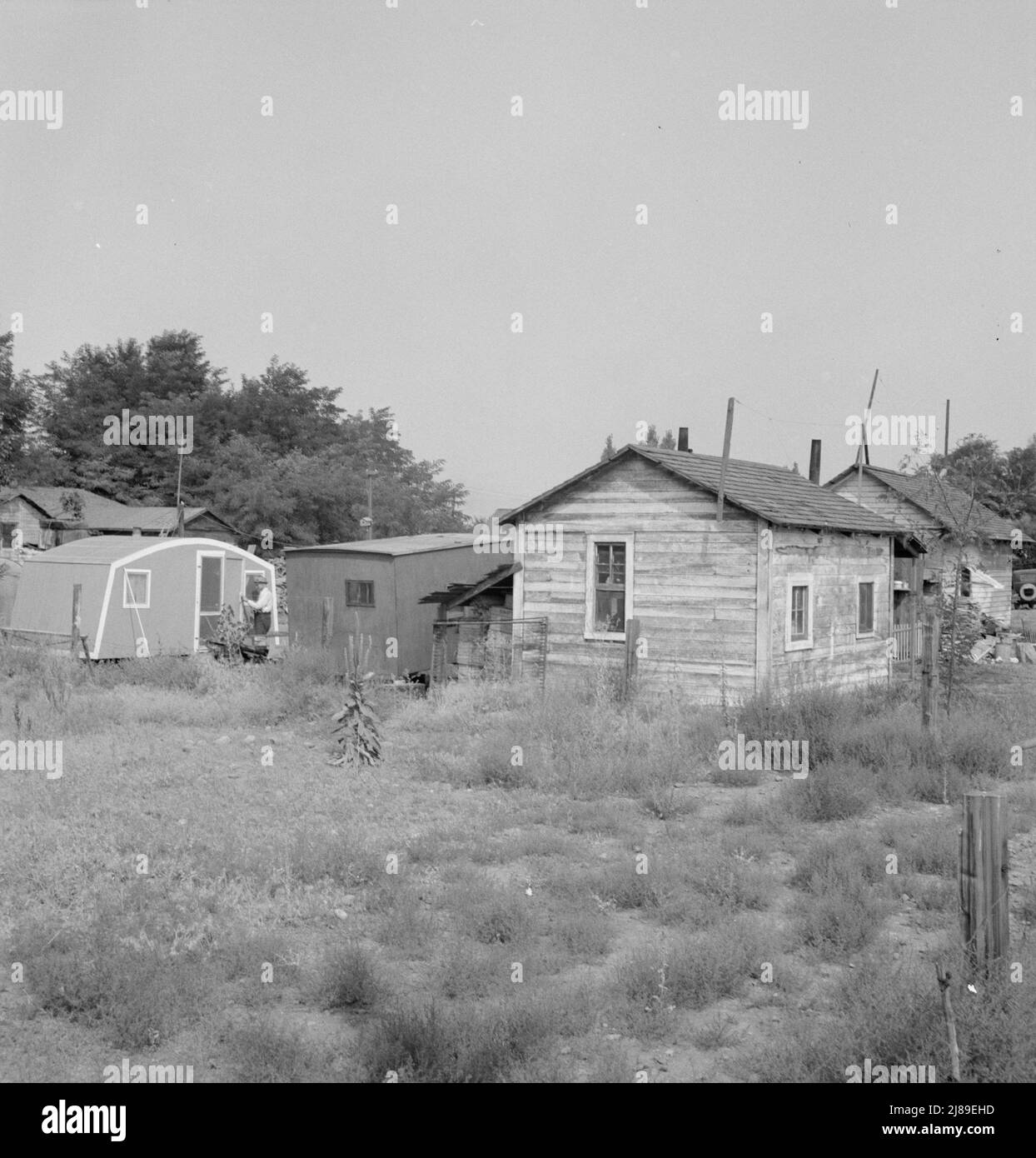 [Untitled, möglicherweise verwandt mit: Washington, Yakima Shacktown, (Sumac Park) ist eine von mehreren großen Shacktown-Gemeinden rund um Yakima. Allgemeine Bildunterschrift Nummer 26]. Stockfoto