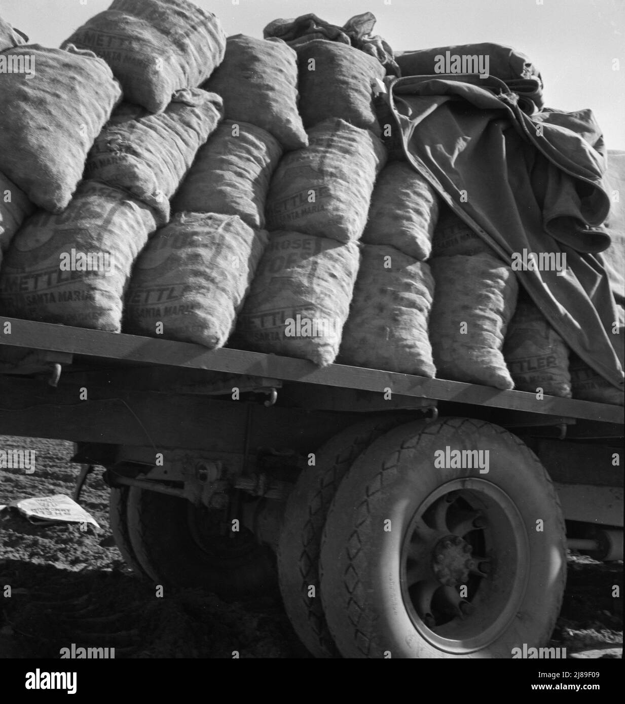 Kern County, Kalifornien. LKW mit Kartoffelsamen beladen. Stockfoto