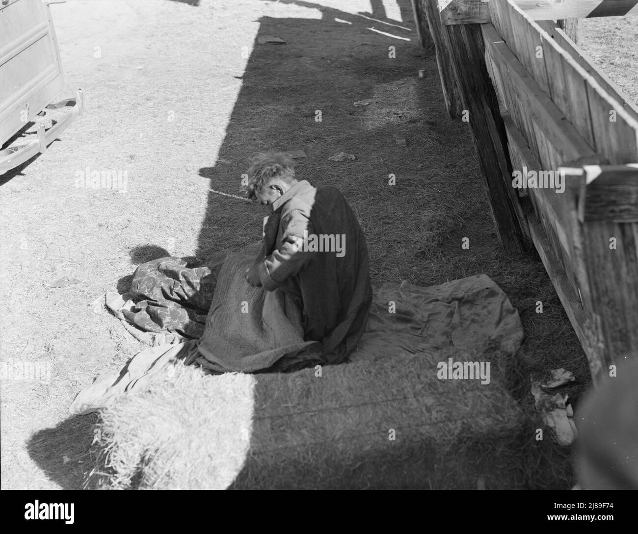 Hobo wacht früh am Morgen neben einem Korral aus seinem Bett auf. Imperial Valley, Kalifornien. Stockfoto